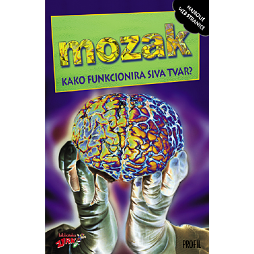 Mozak: kako funkcionira ta siva tvar?